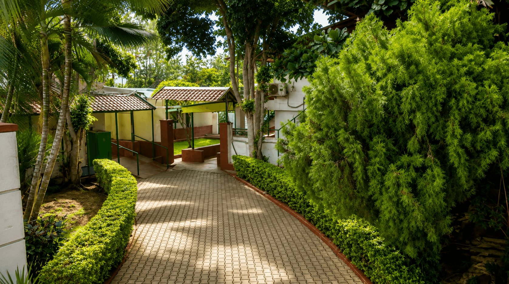 The Green Carpet Grounds